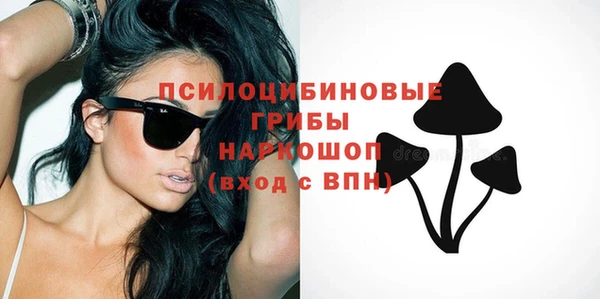 Альфа ПВП Алексин