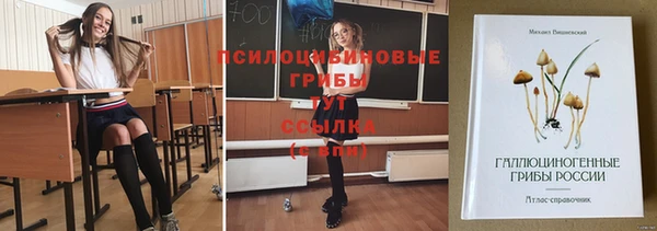 молекула духа Алексеевка