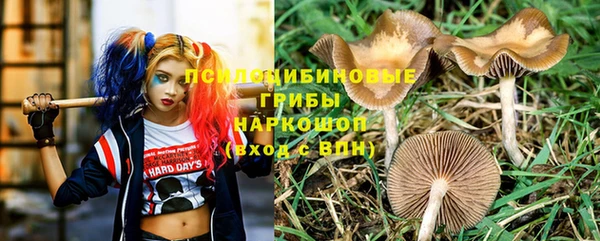 молекула духа Алексеевка