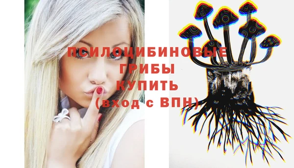 молекула духа Алексеевка